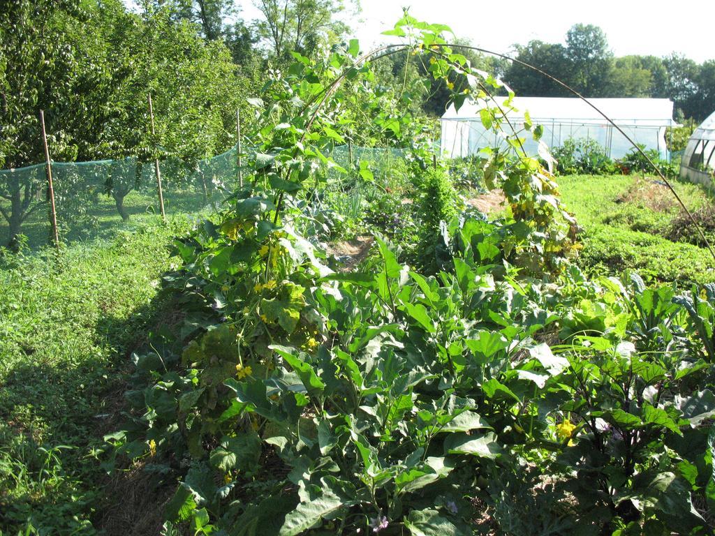 Bioagriturismo Vegan Campo Di Cielo Cesiomaggiore Екстериор снимка