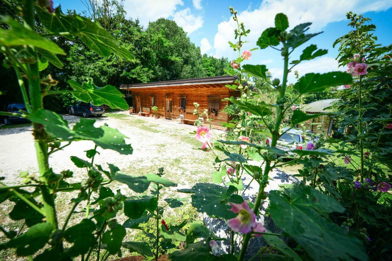 Bioagriturismo Vegan Campo Di Cielo Cesiomaggiore Екстериор снимка